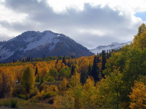 Alpine Loop, 5 October 2008.  PURTY!