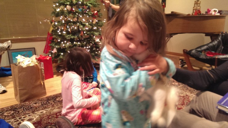 2013-12-26 20.51.53-1