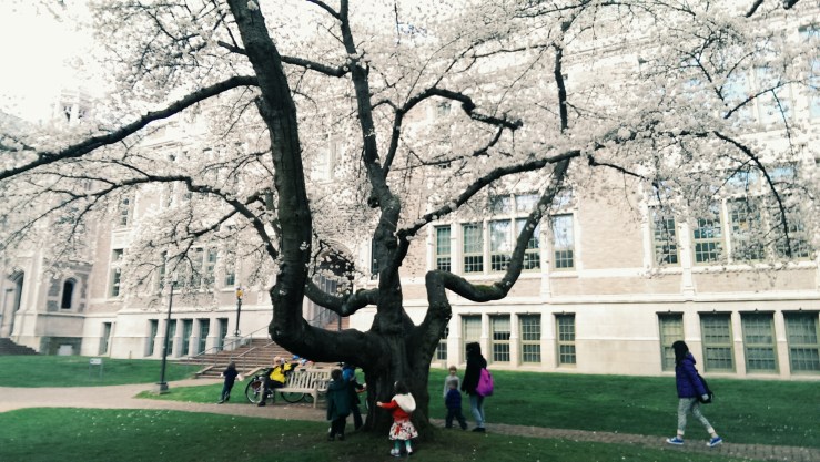 Processed with VSCOcam with g3 preset