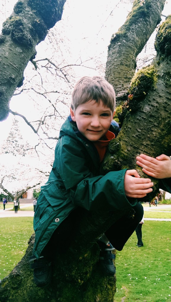 Processed with VSCOcam with c1 preset