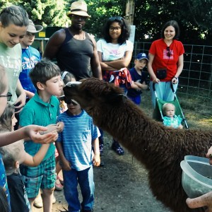 Processed with VSCOcam with g3 preset