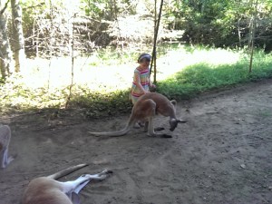 Processed with VSCOcam