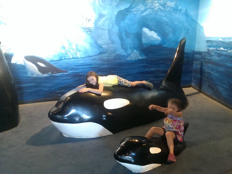 Processed with VSCOcam