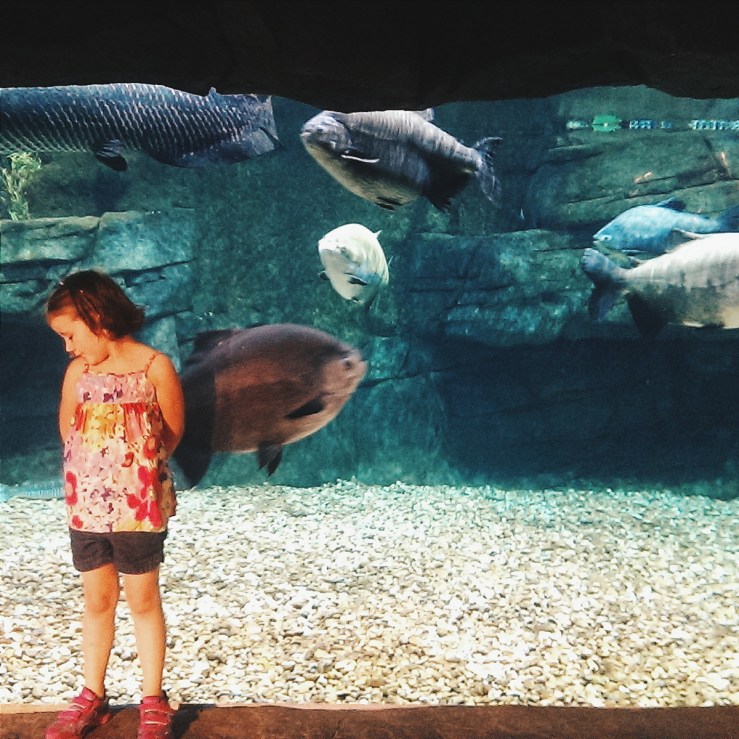 Processed with VSCOcam with hb2 preset