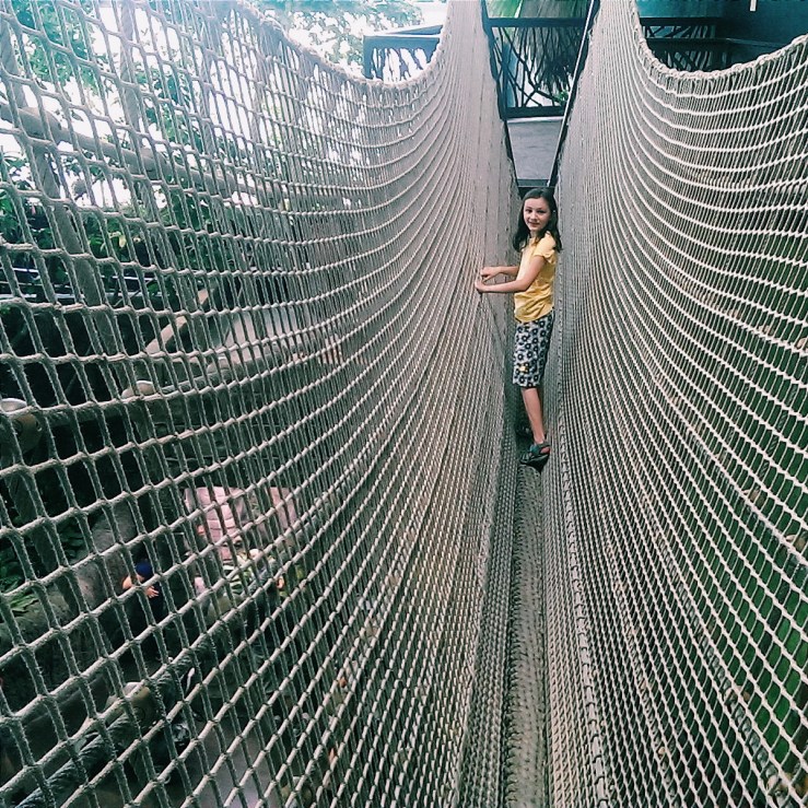 Processed with VSCOcam with c1 preset