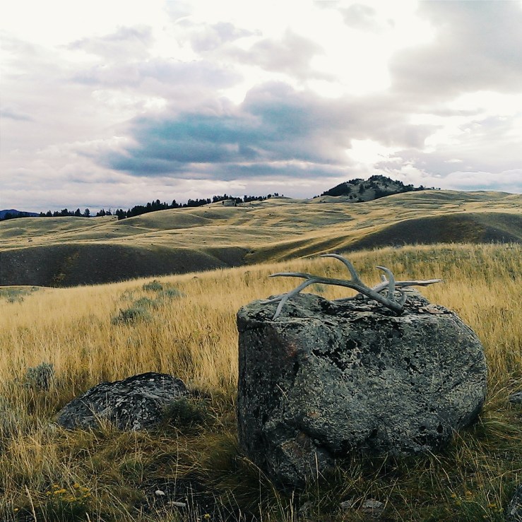 Processed with VSCOcam with g3 preset