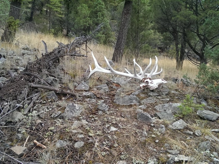 Processed with VSCOcam