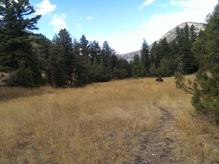 Processed with VSCOcam