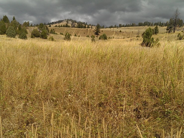 Processed with VSCOcam