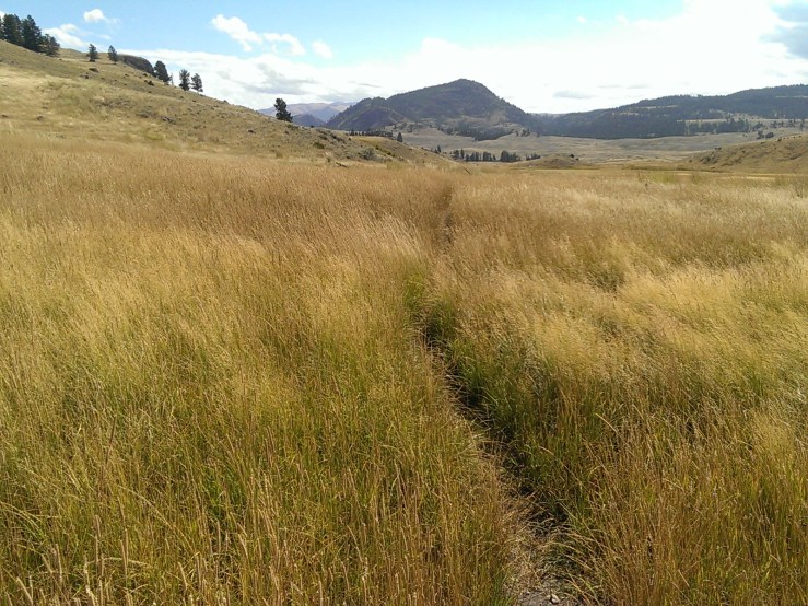 Processed with VSCOcam