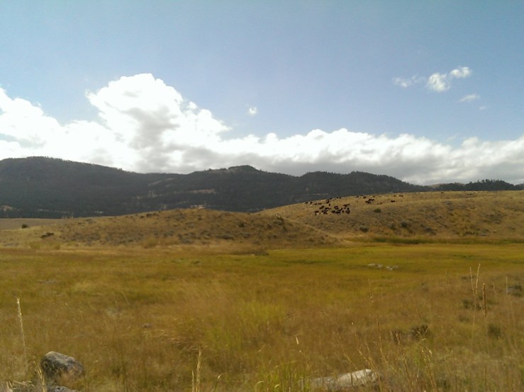 Processed with VSCOcam