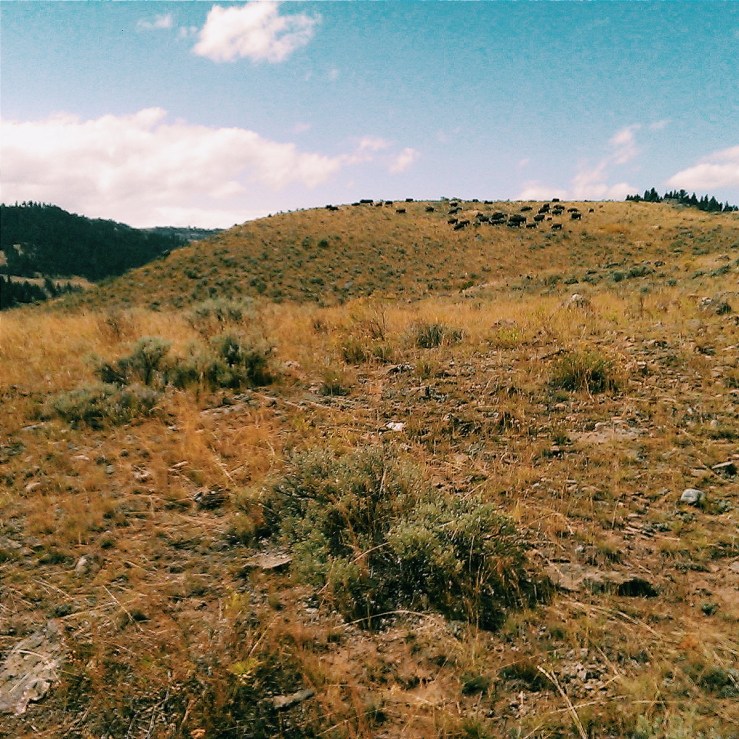 Processed with VSCOcam with c1 preset