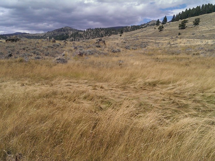 Processed with VSCOcam