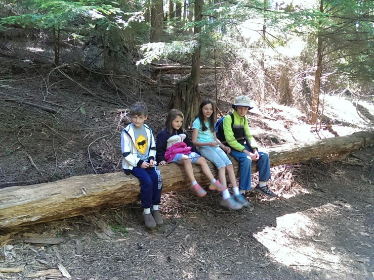 2016-08-23 12.21.21 1