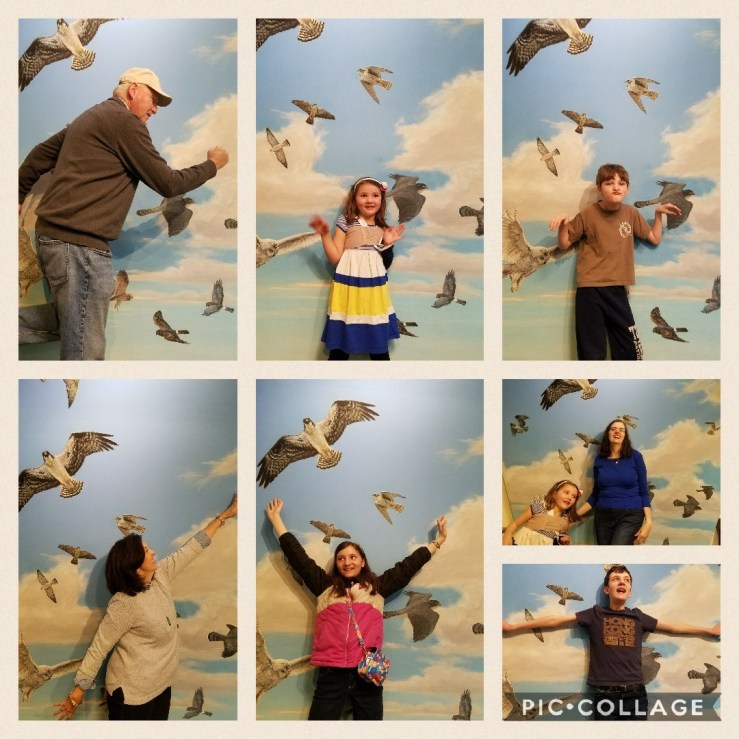 Collage 2017-04-19 14_40_11