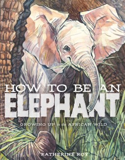 how to be an elephant