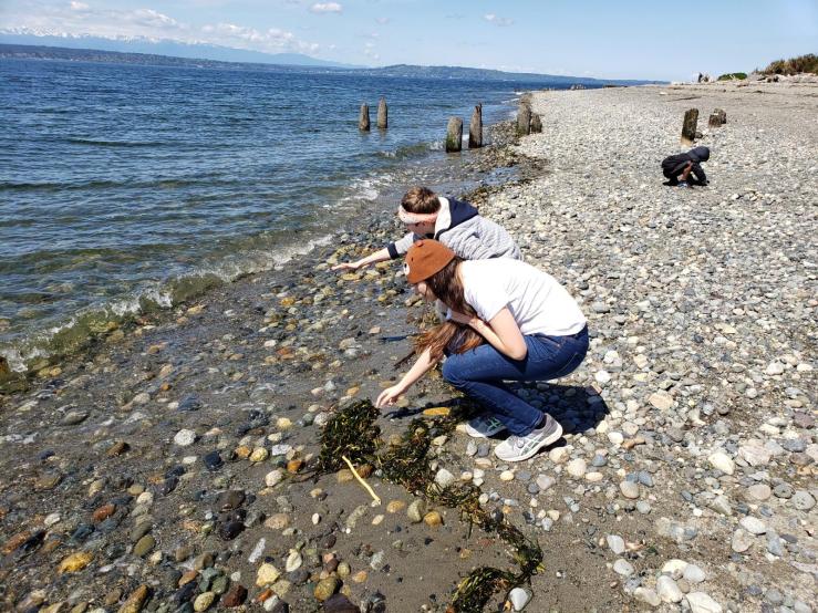 Attach17236_20190428_122113